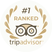 Altezza Travel – добитник на наградата Tripadvisor Travellers' Choice 2026