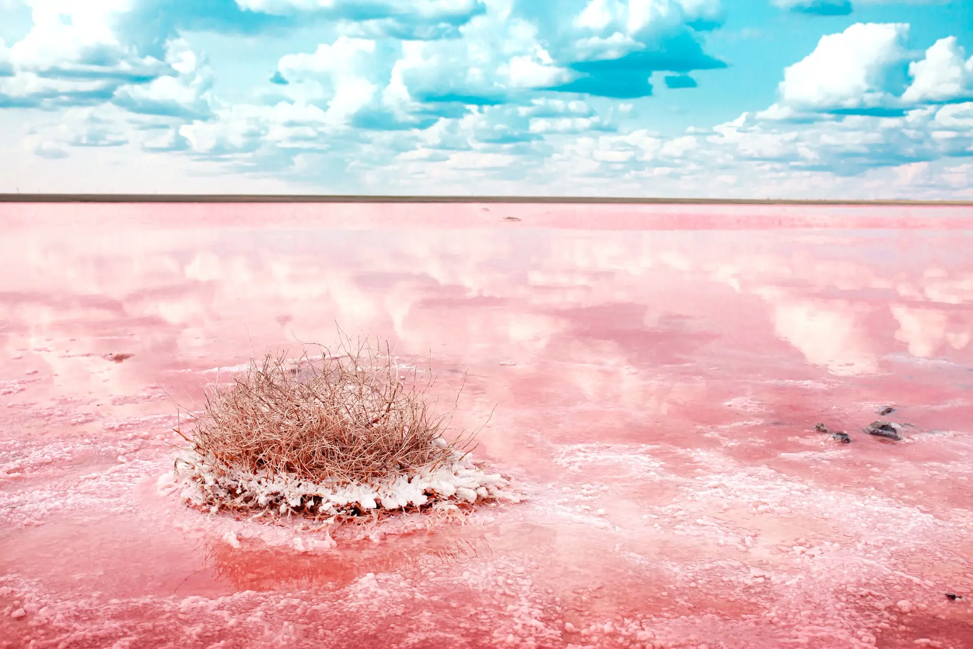 Во сушната сезона езерото поцрвенува и се покрива со сол. Фото: Vera Larina / Shutterstock