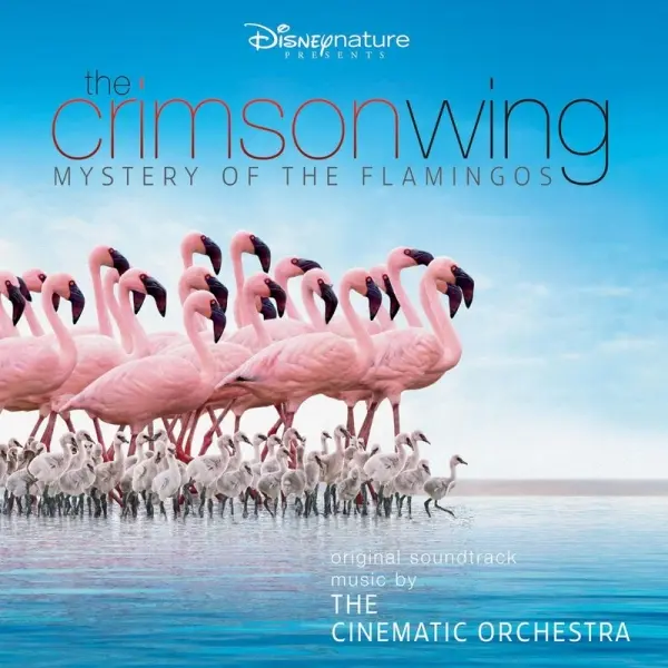 Постер на документарниот филм „The Crimson Wing: Mystery of the Flamingos“