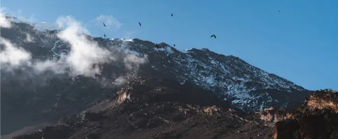 Рутата Northern Circuit - Ден 5 - Трекинг од Moir Hut до кампот Buffalo