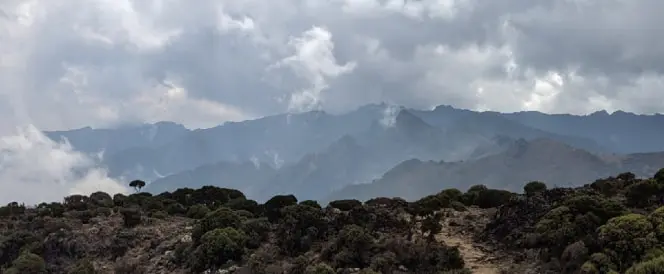 рутата Umbwe - Ден 3 - Трекинг од кампот Umbwe до кампот Barranco